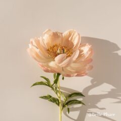 16タイプパーソナルカラー診断