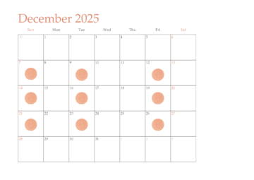 12月ご予約可能日