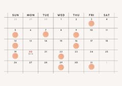 202607ご予約可能日
